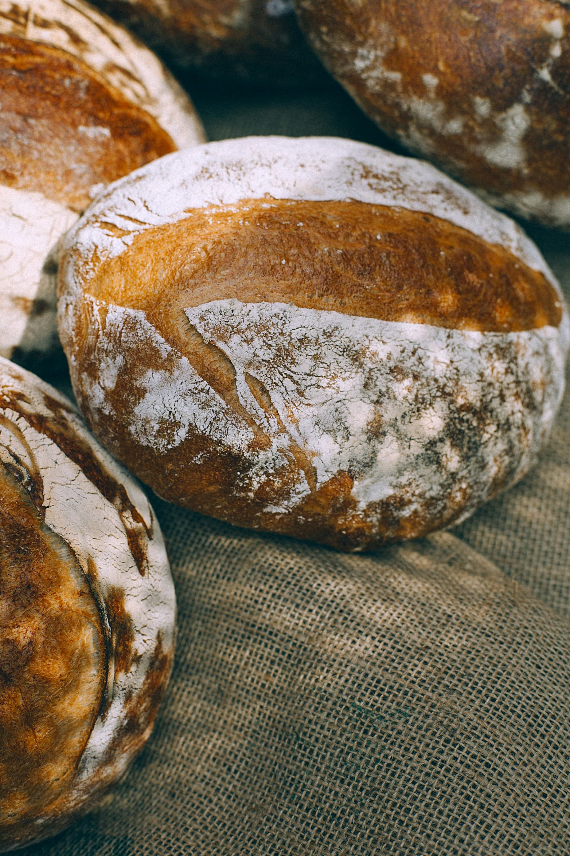 The daily doughmocracy loaf